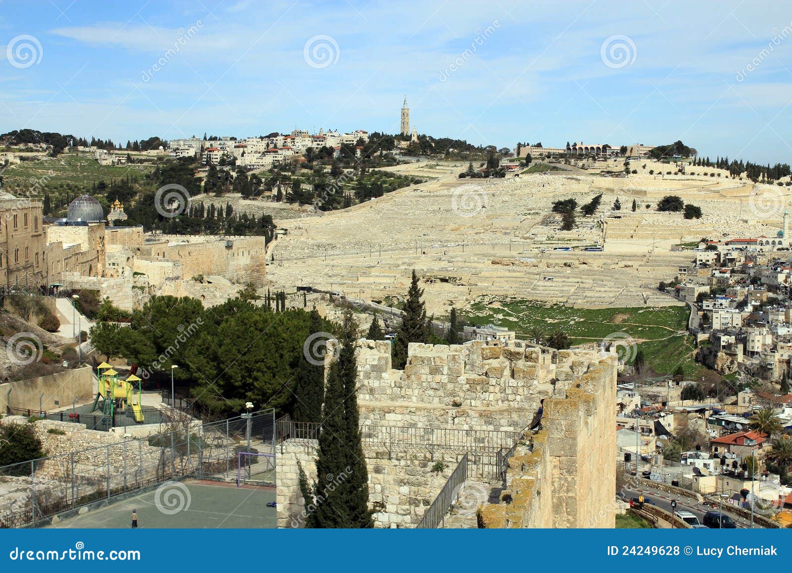 Olive Mountain stock photo. Image of ancient, holy, tree 24249628