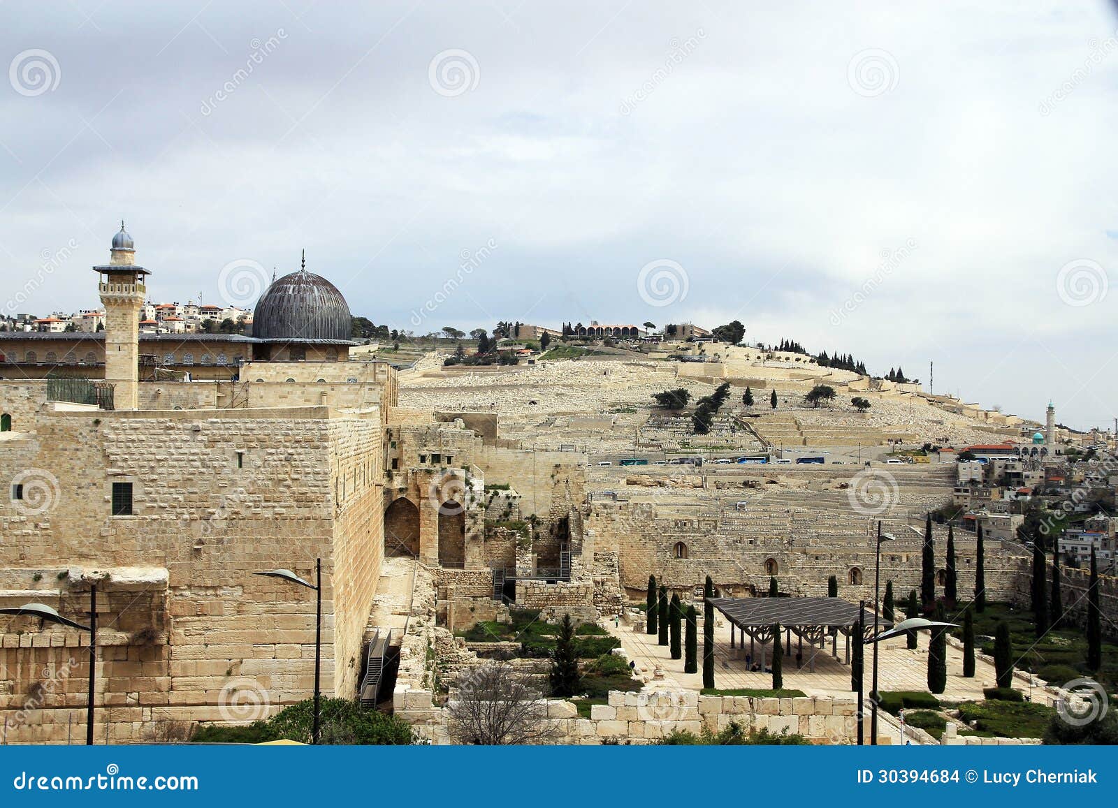 Olive Mountain stock photo. Image of religion, israel 30394684