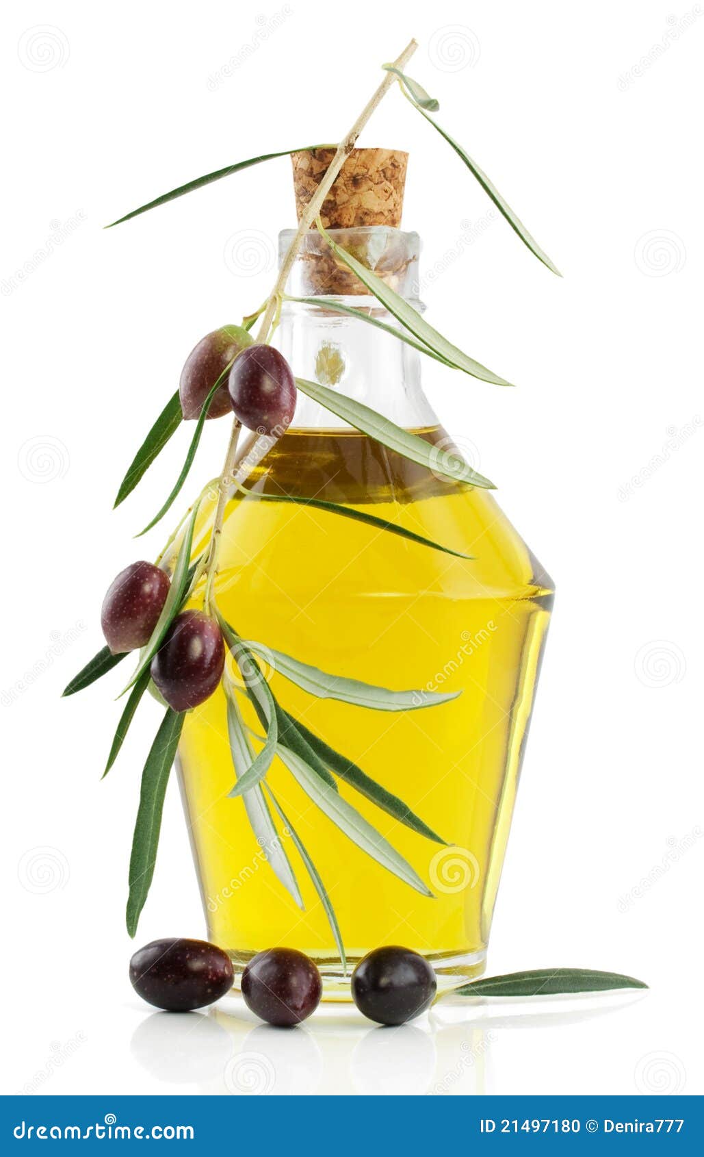 Olive Oil and Branch of an Olive Tree Stock Photo Image of olive