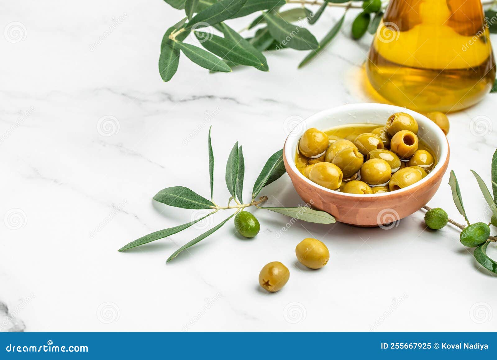 Olive Oil Olive Branch Tree on Light Background. Long Banner Format Stock Image Image of