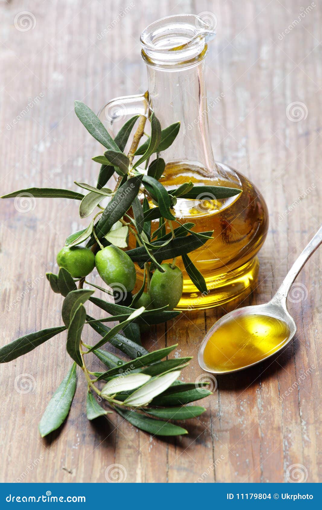 Olive Oil with Olive Branch Stock Photo Image of leaf, tree 11179804