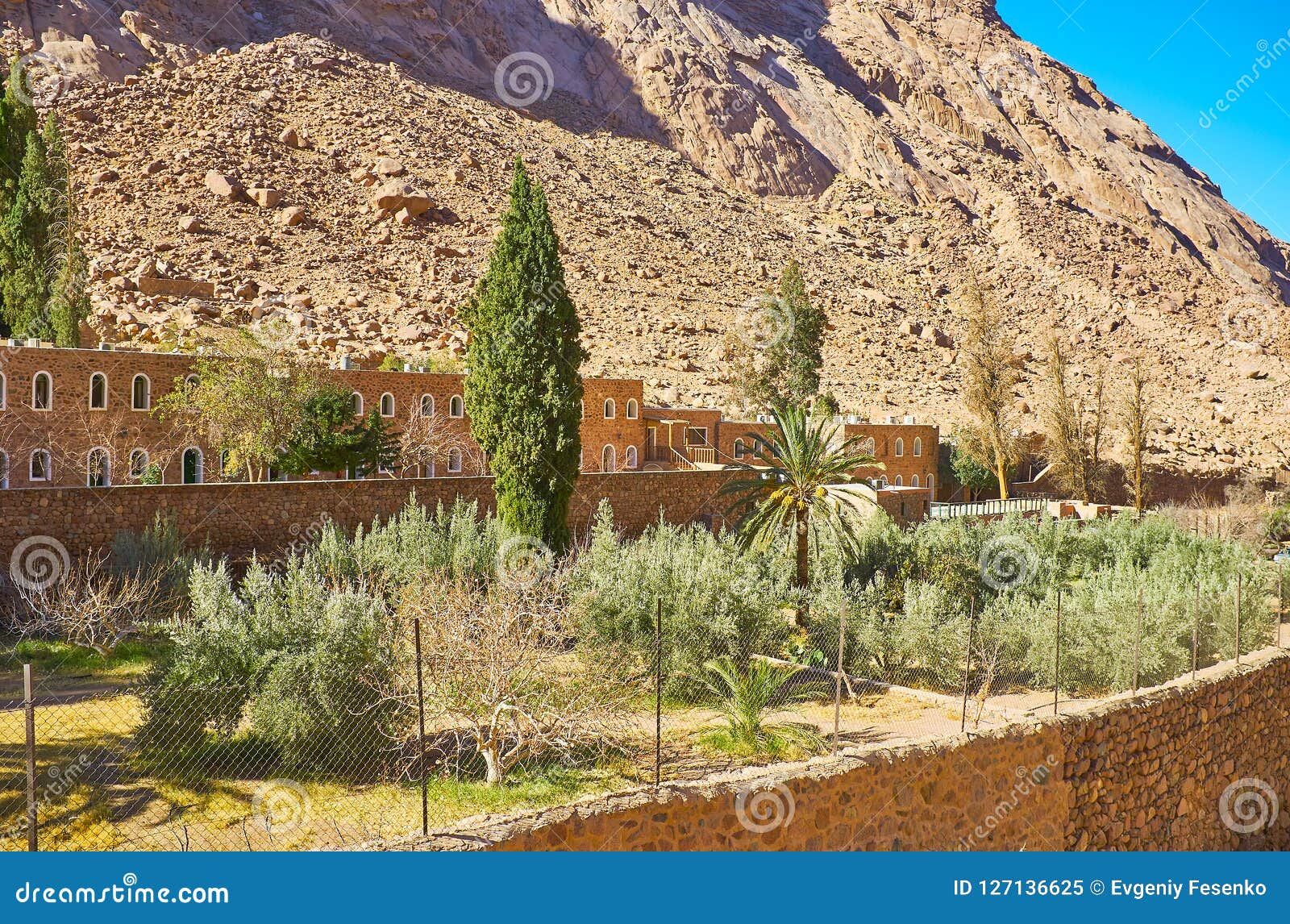 The Garden In Sinai Desert Egypt Stock Image Image Of Canyon