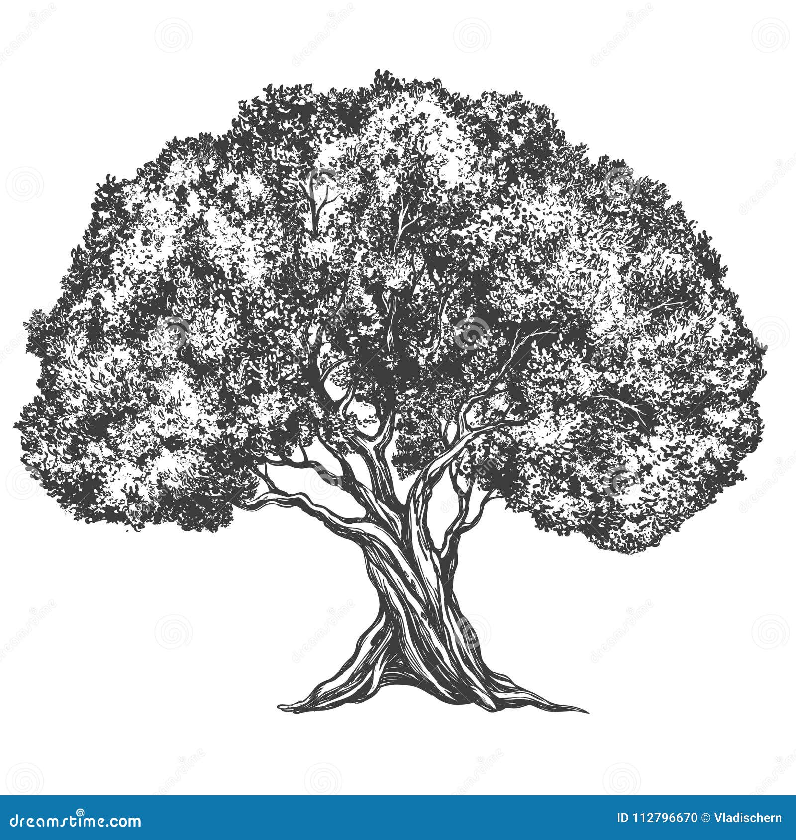 Tree Sketch Logo Icon Vector | CartoonDealer.com #132988977