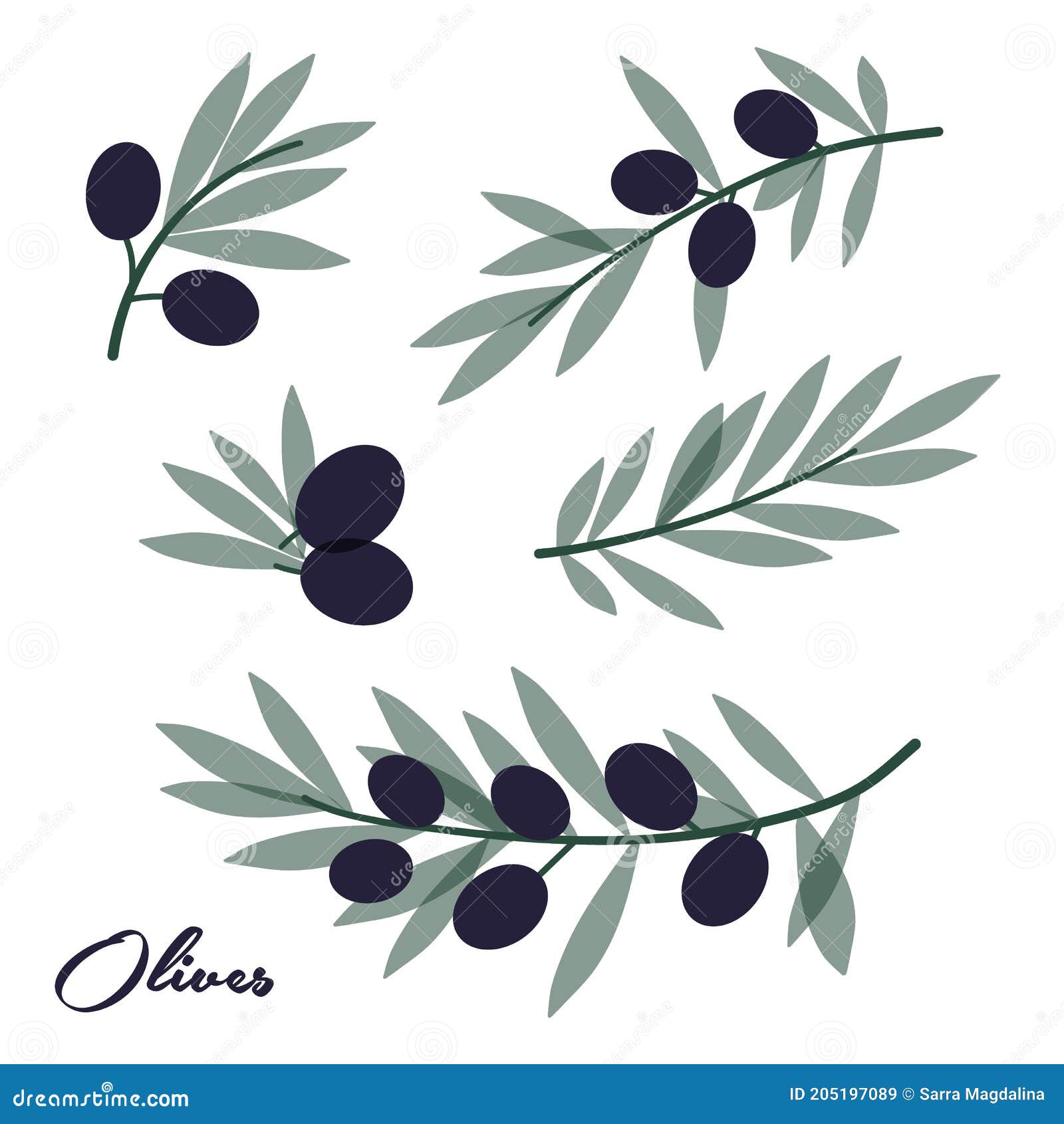 Olive Vector Image Set Black Stock Vector - Illustration of leaf
