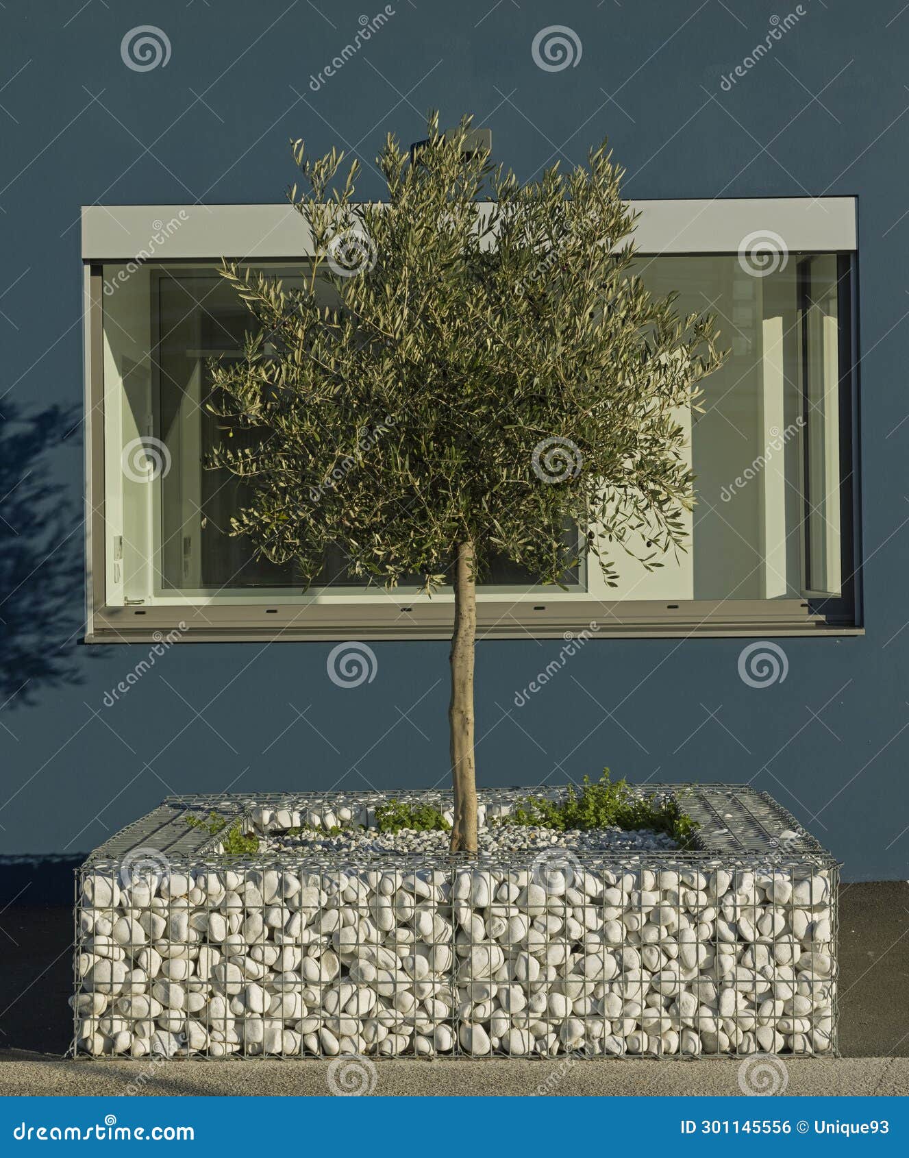 oliver surrounded by a white pebble gabion structure