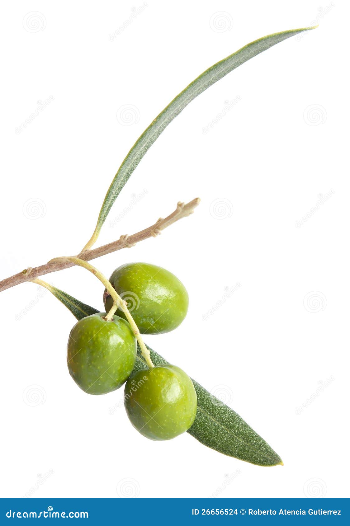 Olives stock photo. Image of olive, italy, spain, olives 26656524