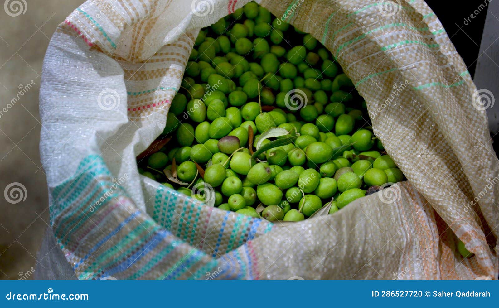 Olives in a bag stock photo. Image of agriculture, tree 286527720