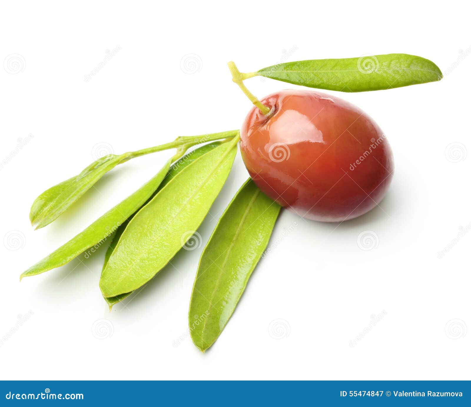Olives with Leaves Isolated Stock Image Image of vegetable, vegetarian 55474847