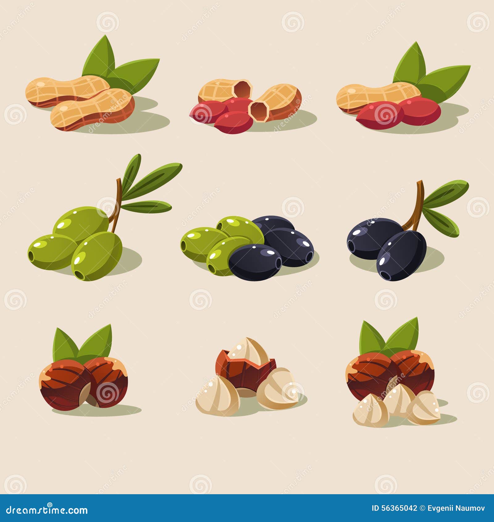 Olives and Nuts Vector Illustration Modern Design Stock Vector Illustration of health, fresh