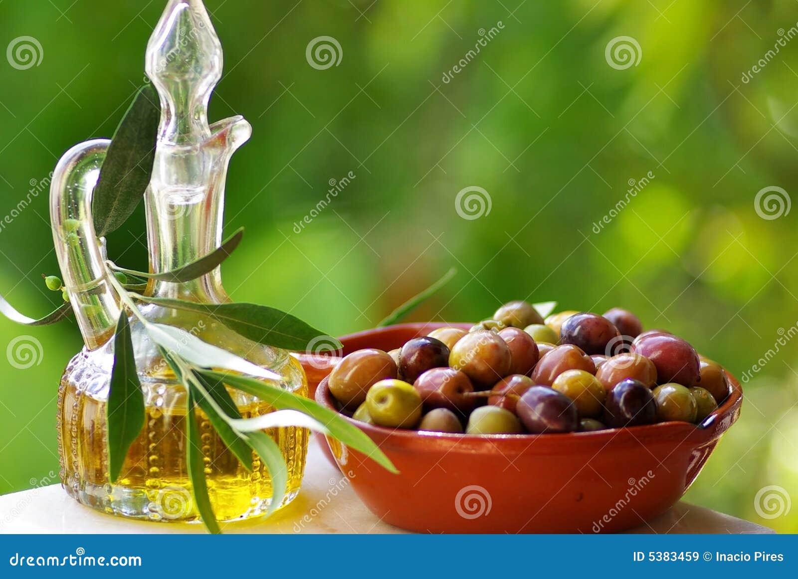 Olives of Portugal. stock image. Image of olive, branch 5383459