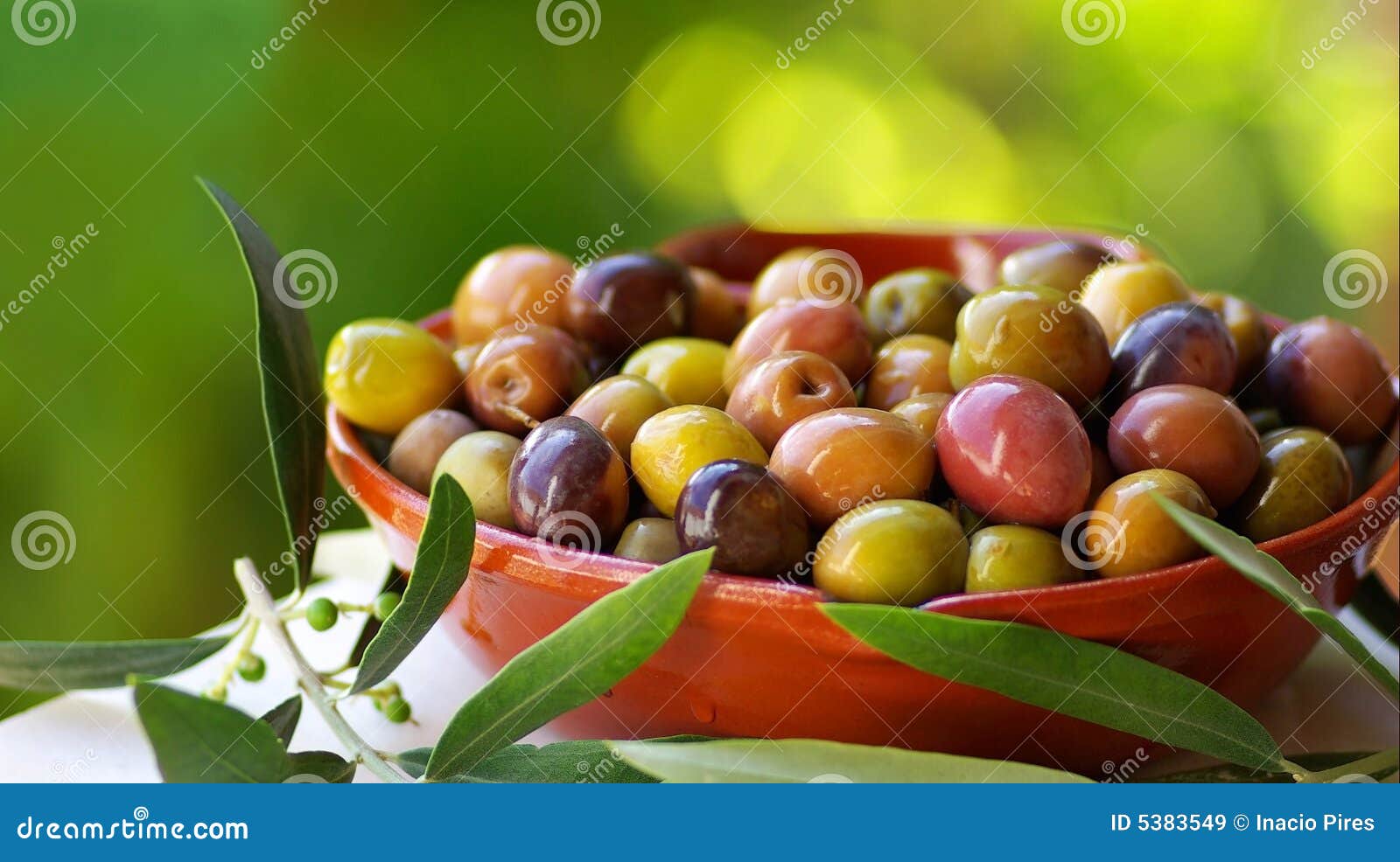 Olives of Portugal. stock image. Image of salad, cool 5383549