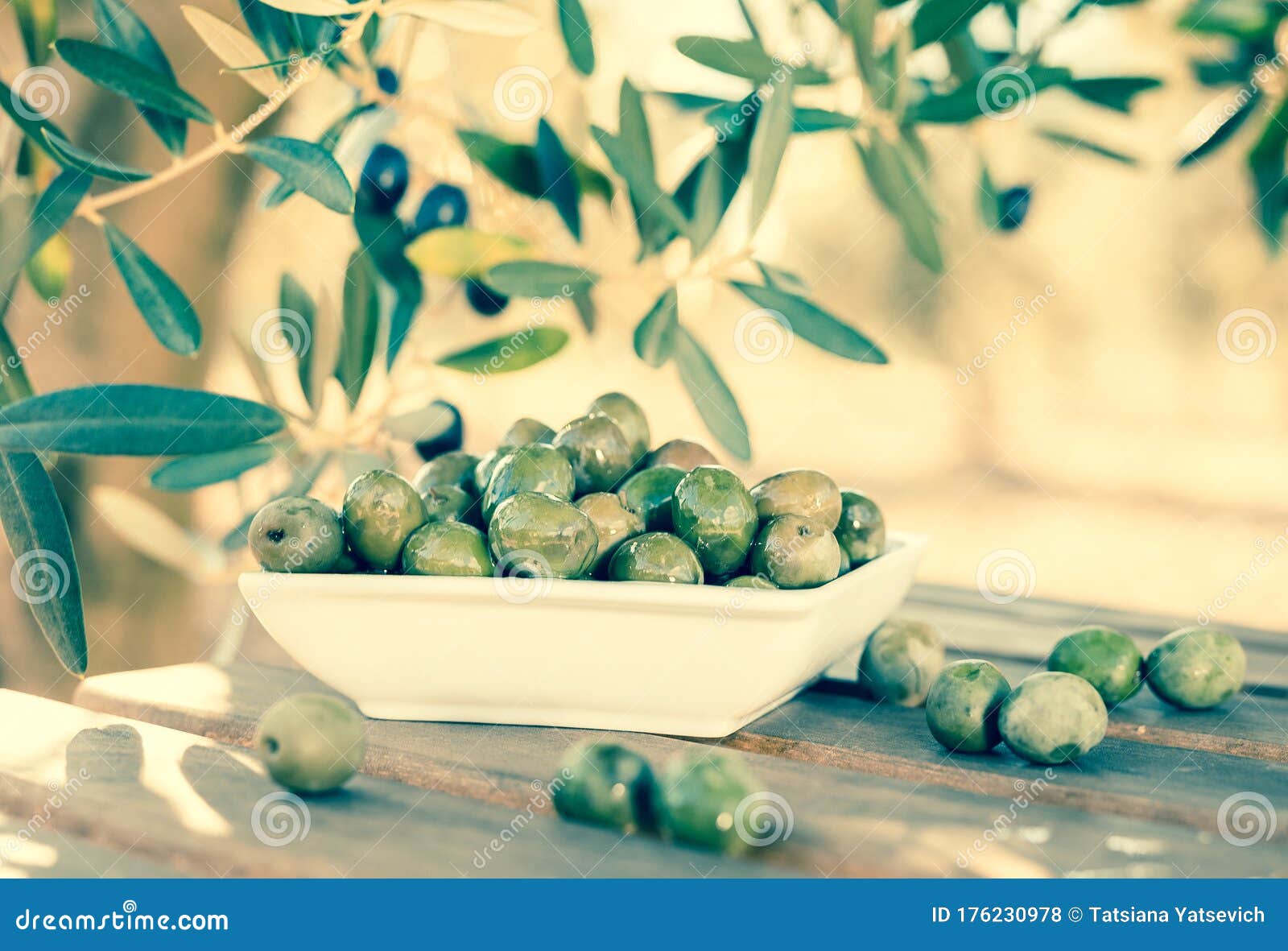 Olives on Table in an Olive Grove Stock Photo Image of olives, fruit