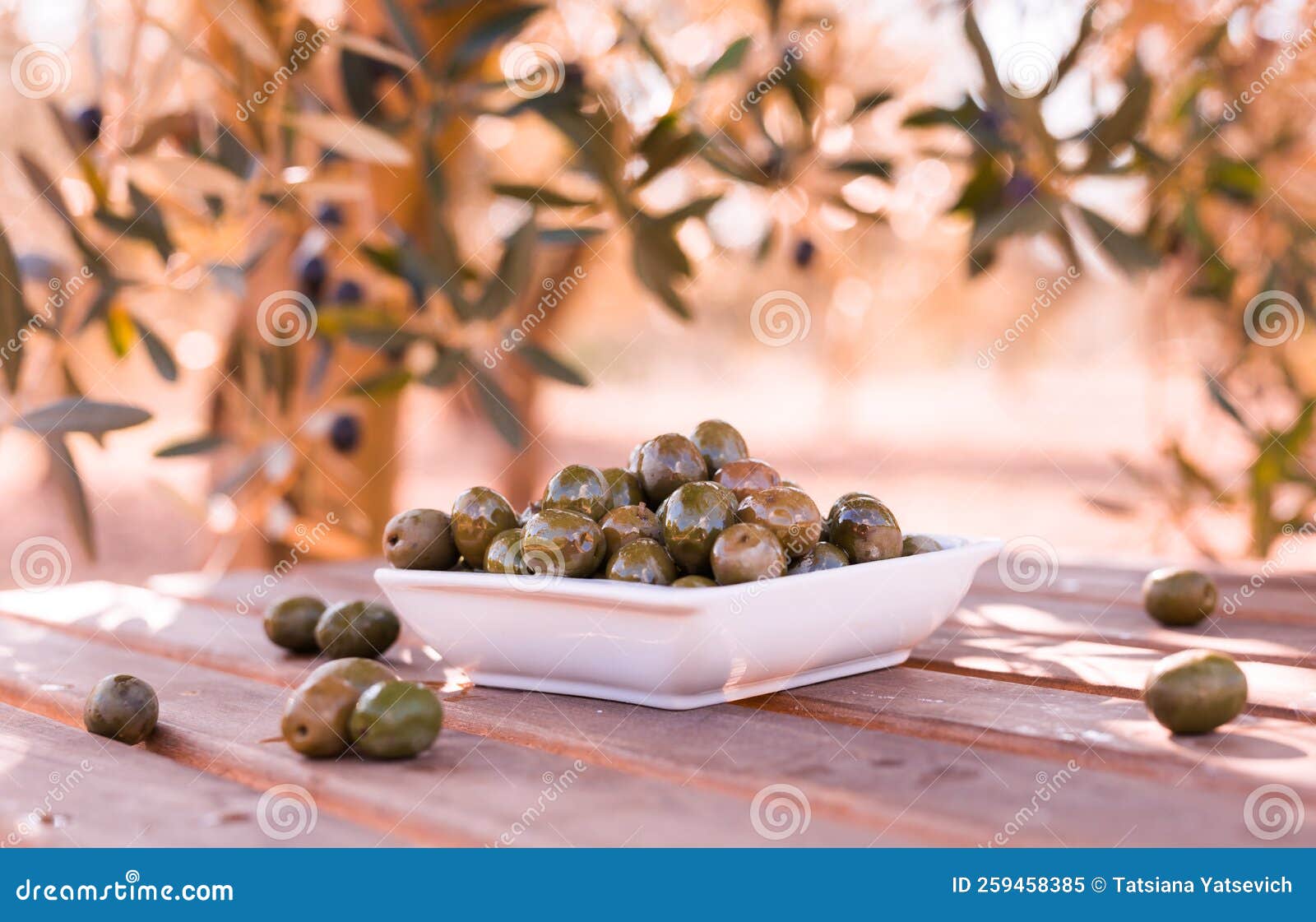 Olives on Table in an Olive Grove Stock Image Image of ingredient