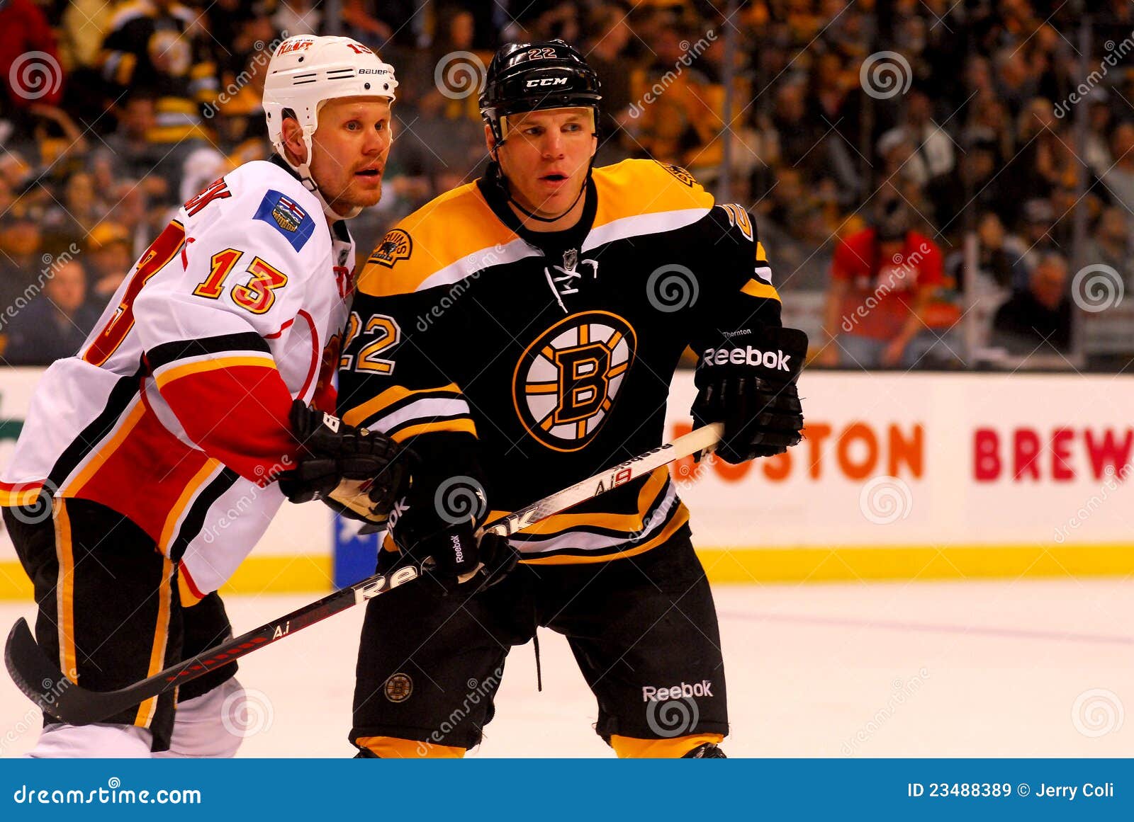 olli stock olli stock