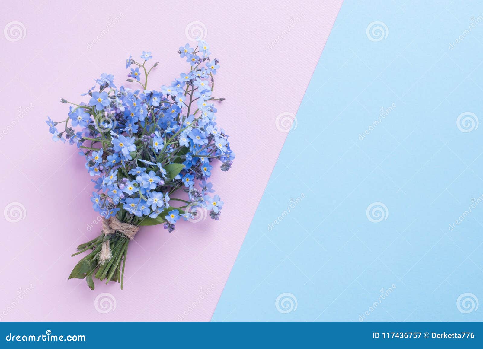 Olvídeme No Ramo De Las Flores En Fondo En Colores Pastel Azul Y Rosado  Imagen de archivo - Imagen de delicado, flora: 117436757