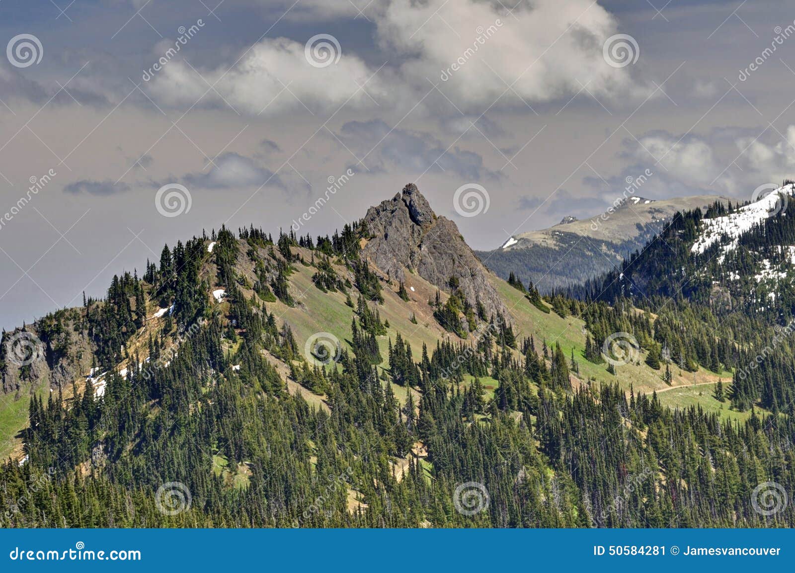 Olympic national park mountain range