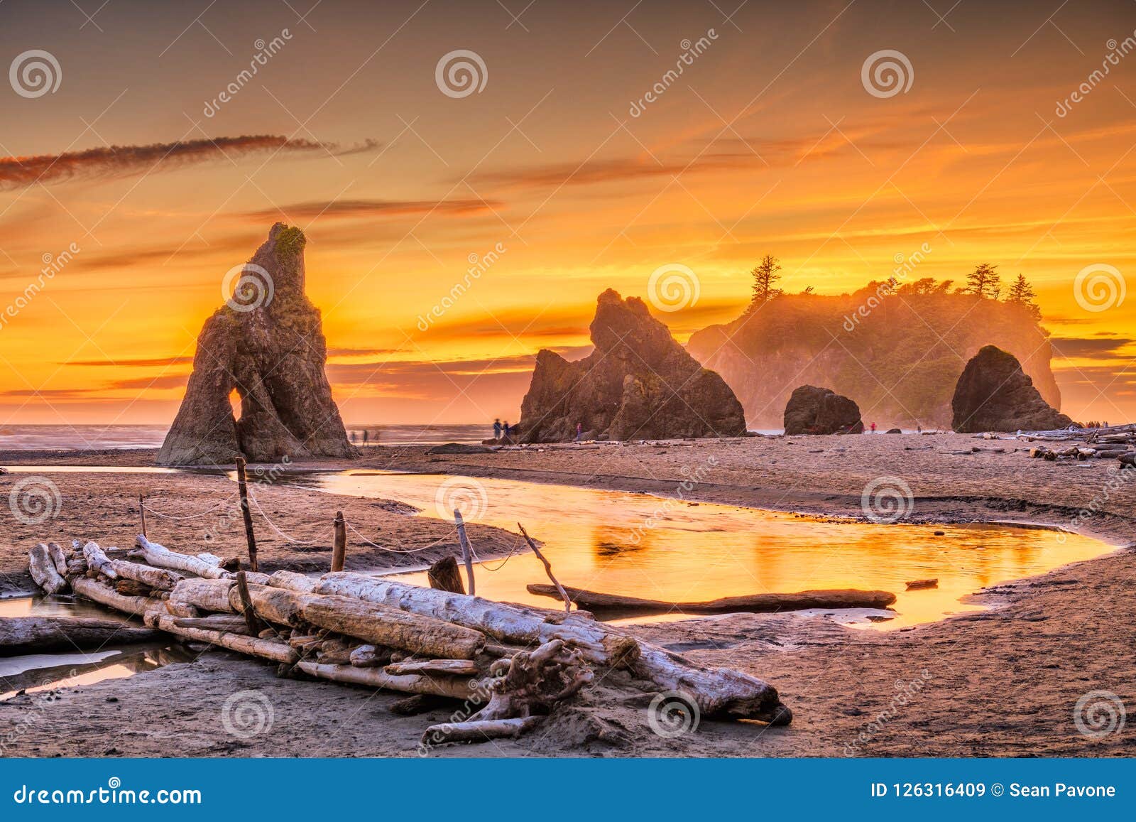 olympic national park, washington, usa at ruby beach