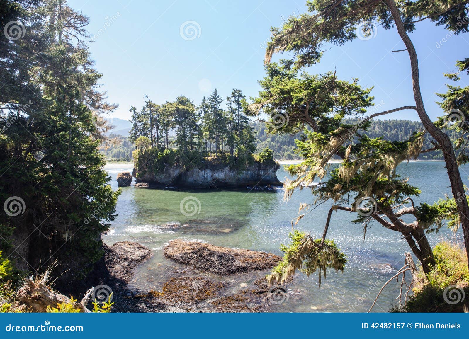 olympic peninsula coast 4