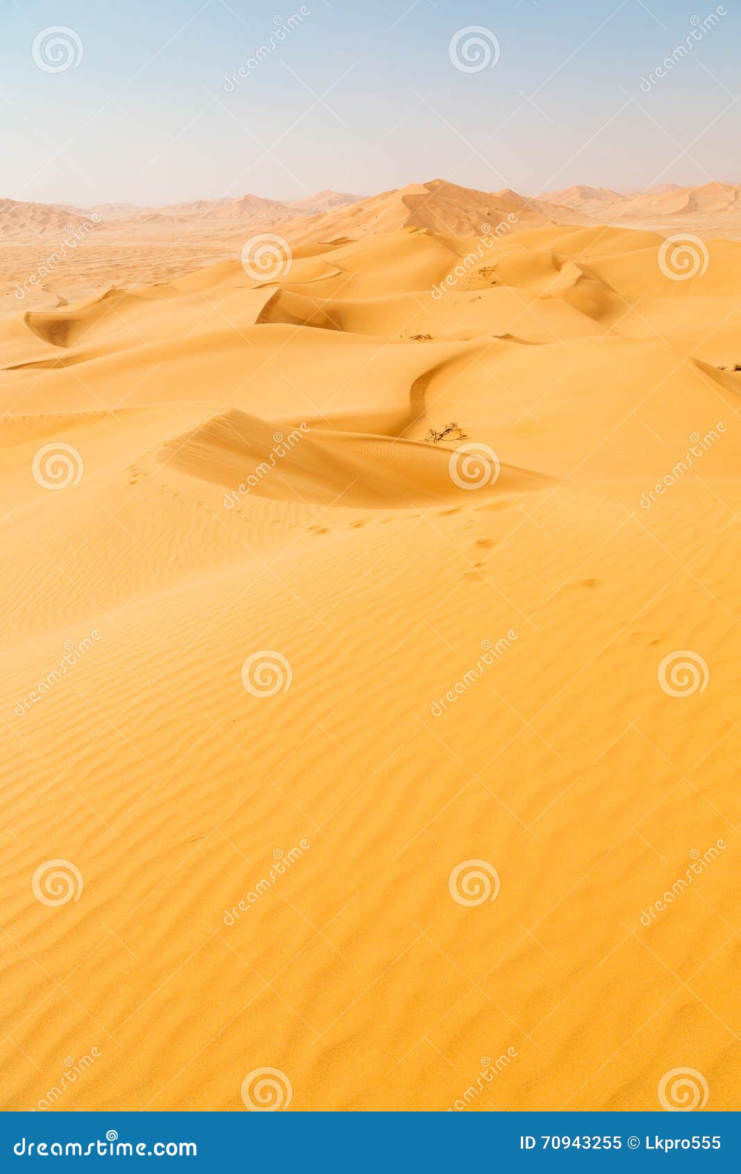 in oman old desert rub al khali and dune