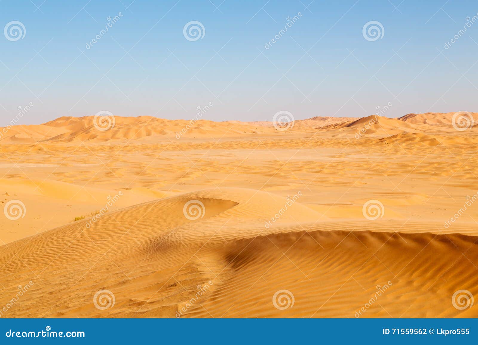 in oman old desert rub al khali the empty quarter and outdoor