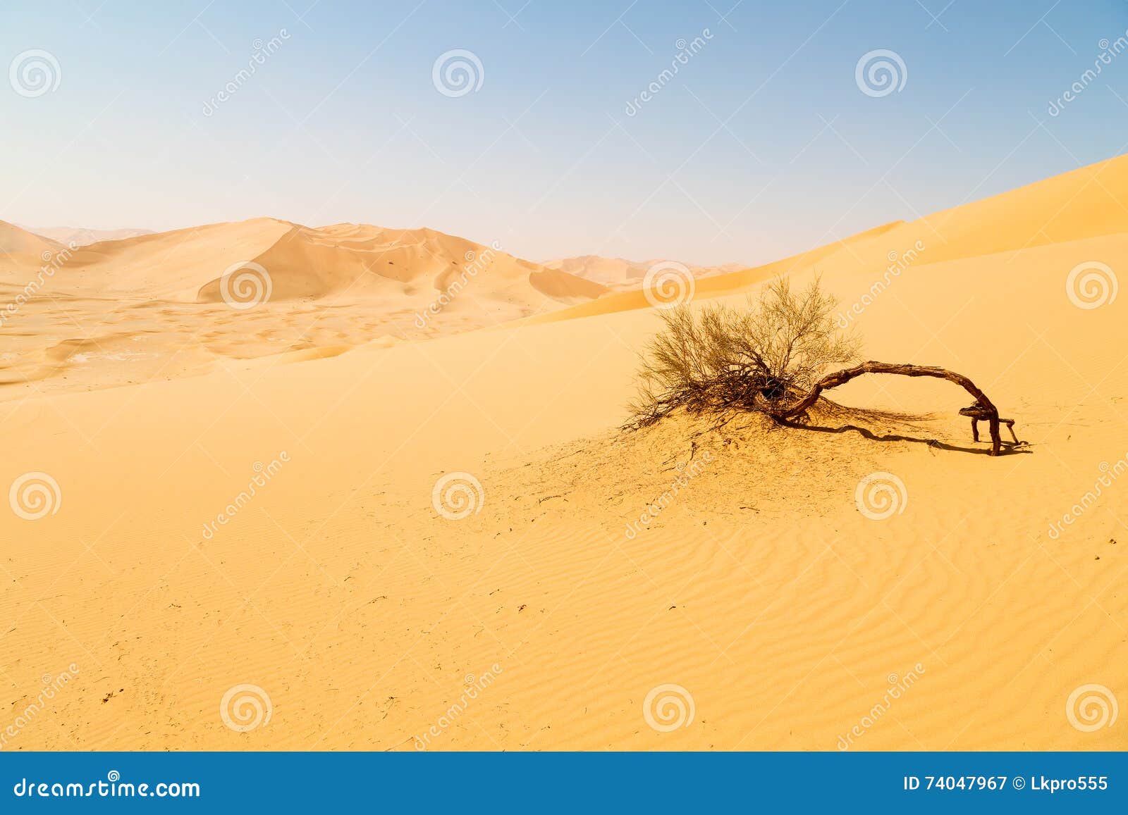 in oman old desert rub al khali the empty quarter and outdoor