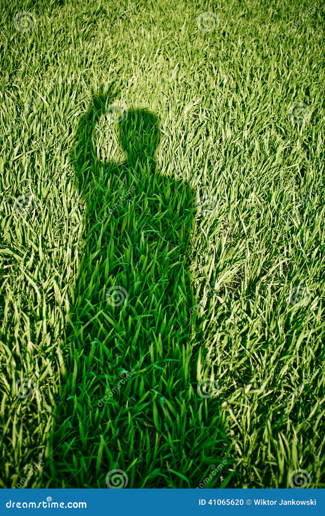  Ombre  de Ghost sur l herbe  photo stock Image du esprit 