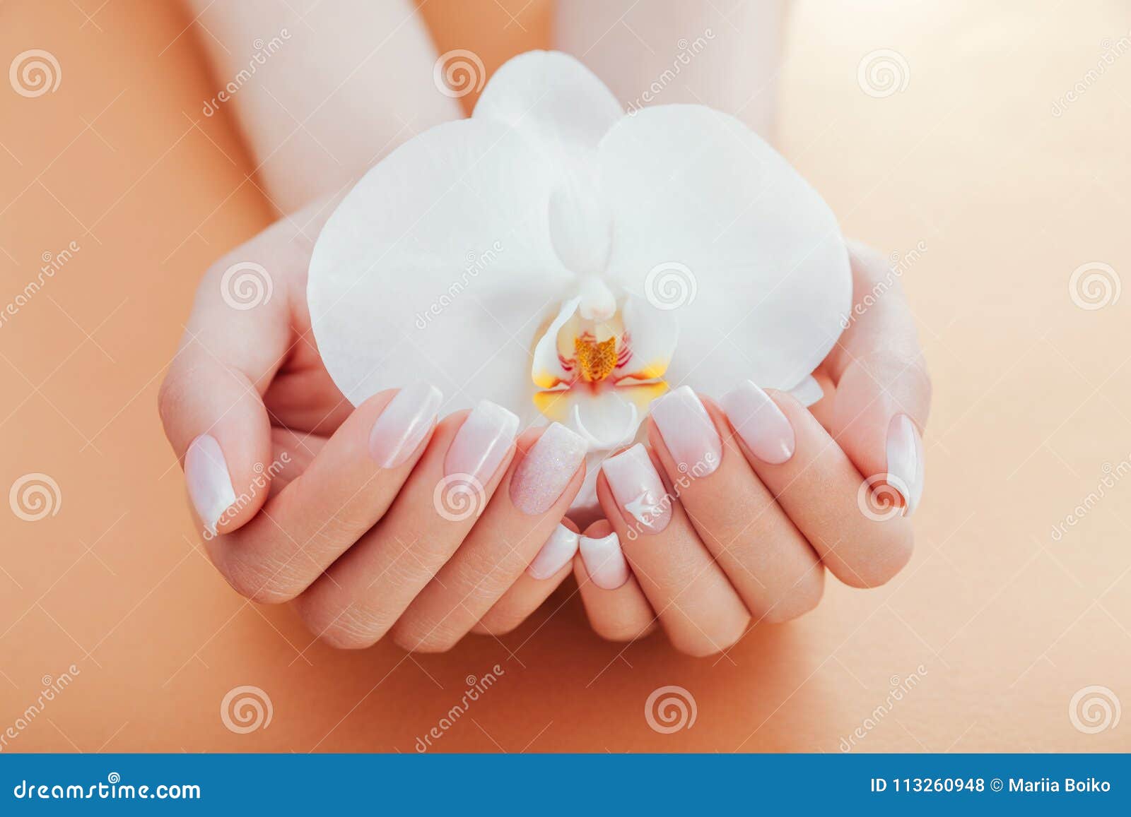 ombre french manicure with orchid on orange background. woman with white ombre french manicure holds orchid flower