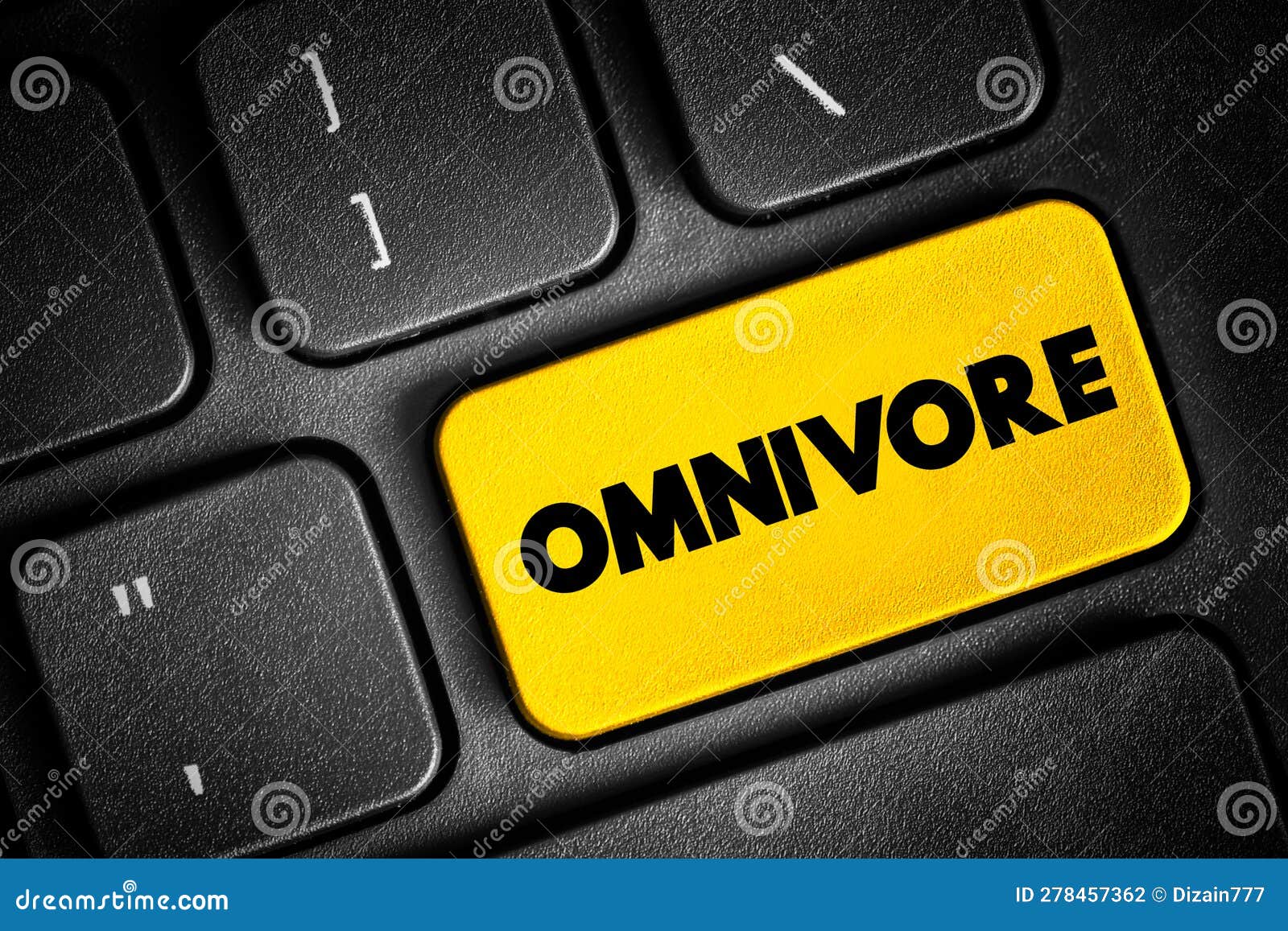 omnivore is an organism that eats plants and animals, text button on keyboard, concept background