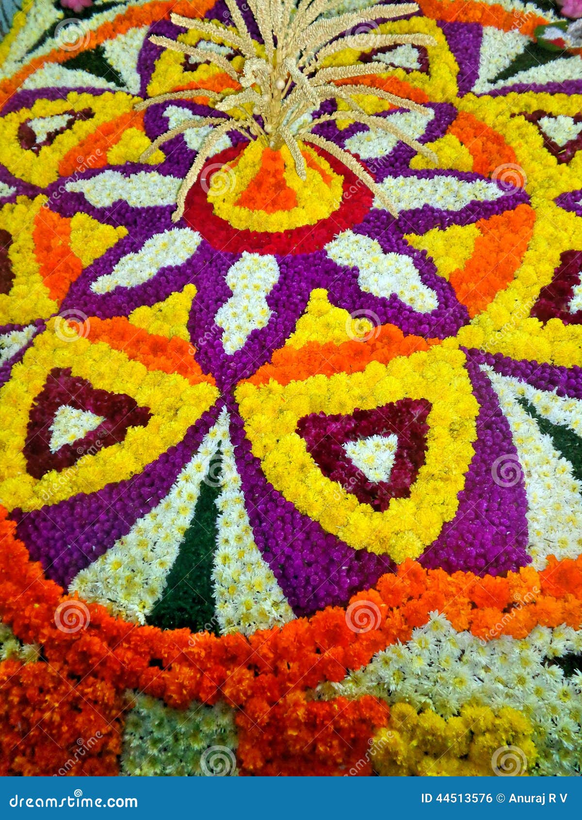 Simple Flower Rangoli Design with Colours and Dots 5x3 for Festivals &  Competitions | Easy kolam Simple daily rangoli for pooja room | Latest kolam  with colours | Easy rangoli simple rangoli - video Dailymotion