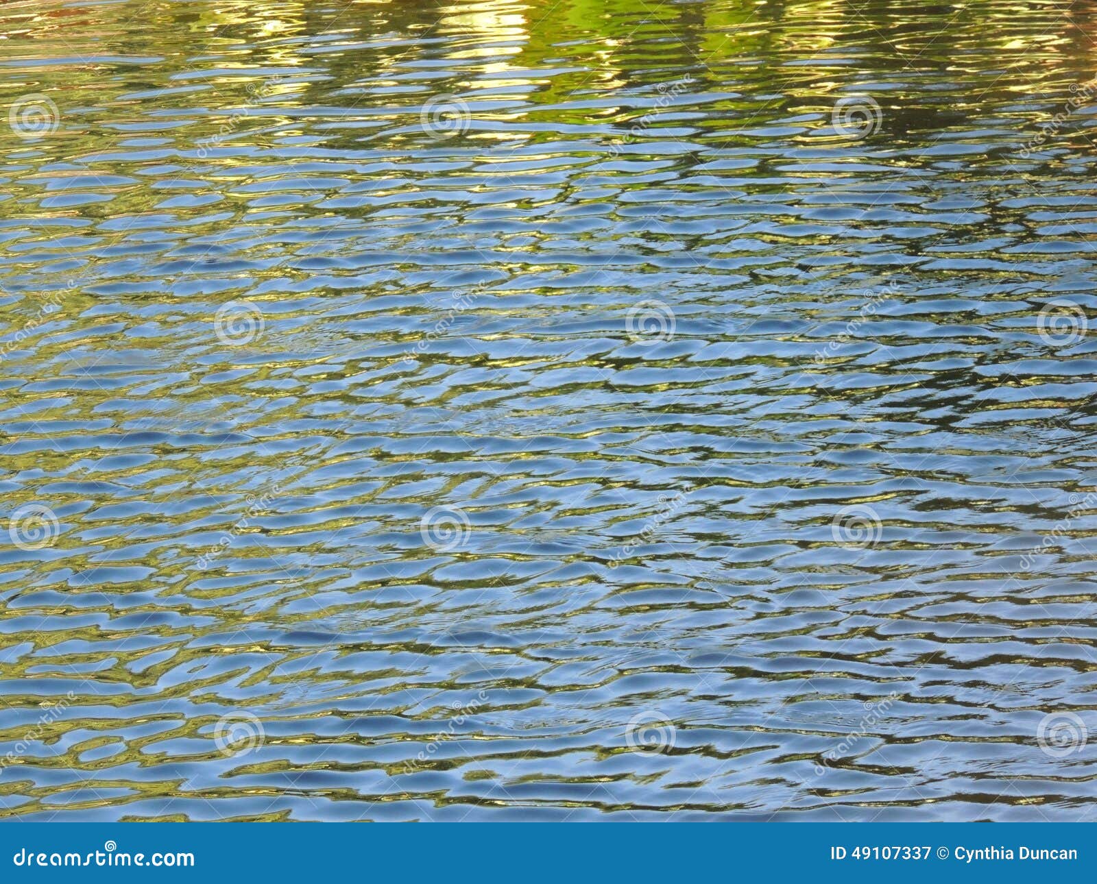 Ondinhas na água. Água do lago no dia de verão