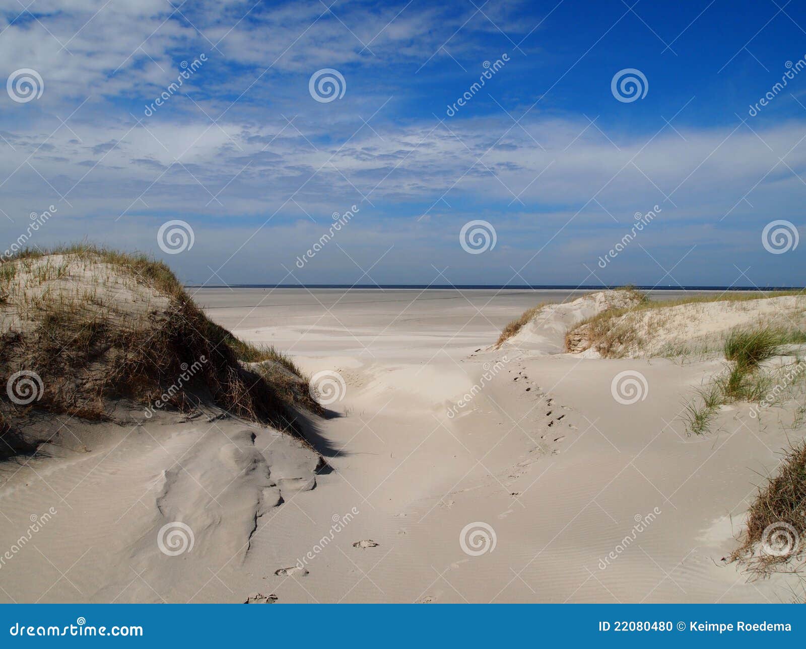 one of the beaches of terschelling, netherlands