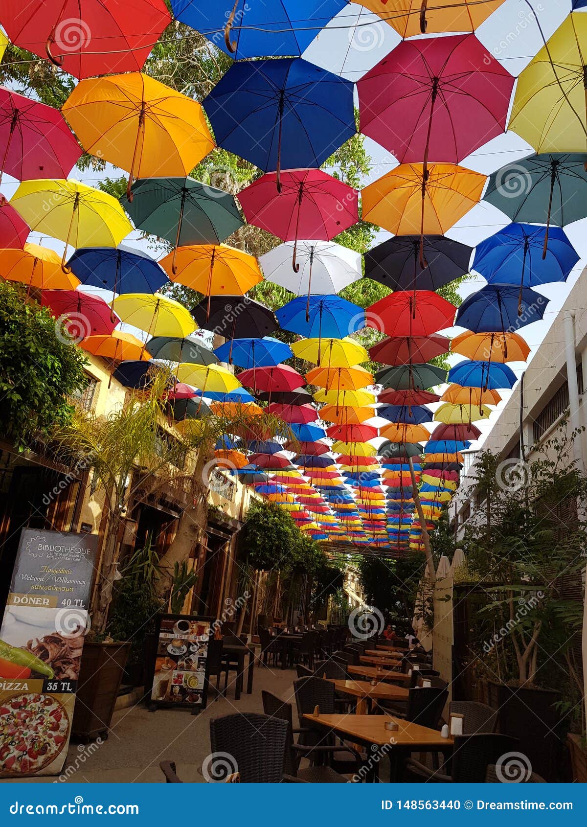 most beautiful umbrellas