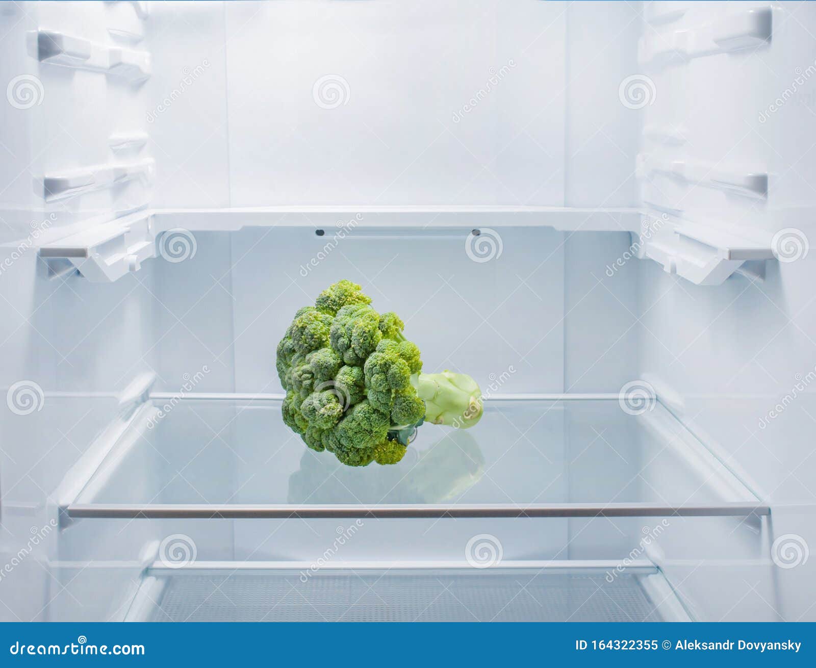 Broccoli Lies in the Center of an Empty Refrigerator Stock Image