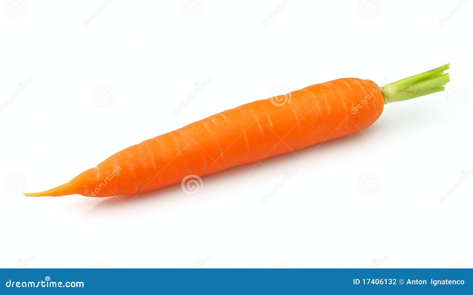 954enzo carrot