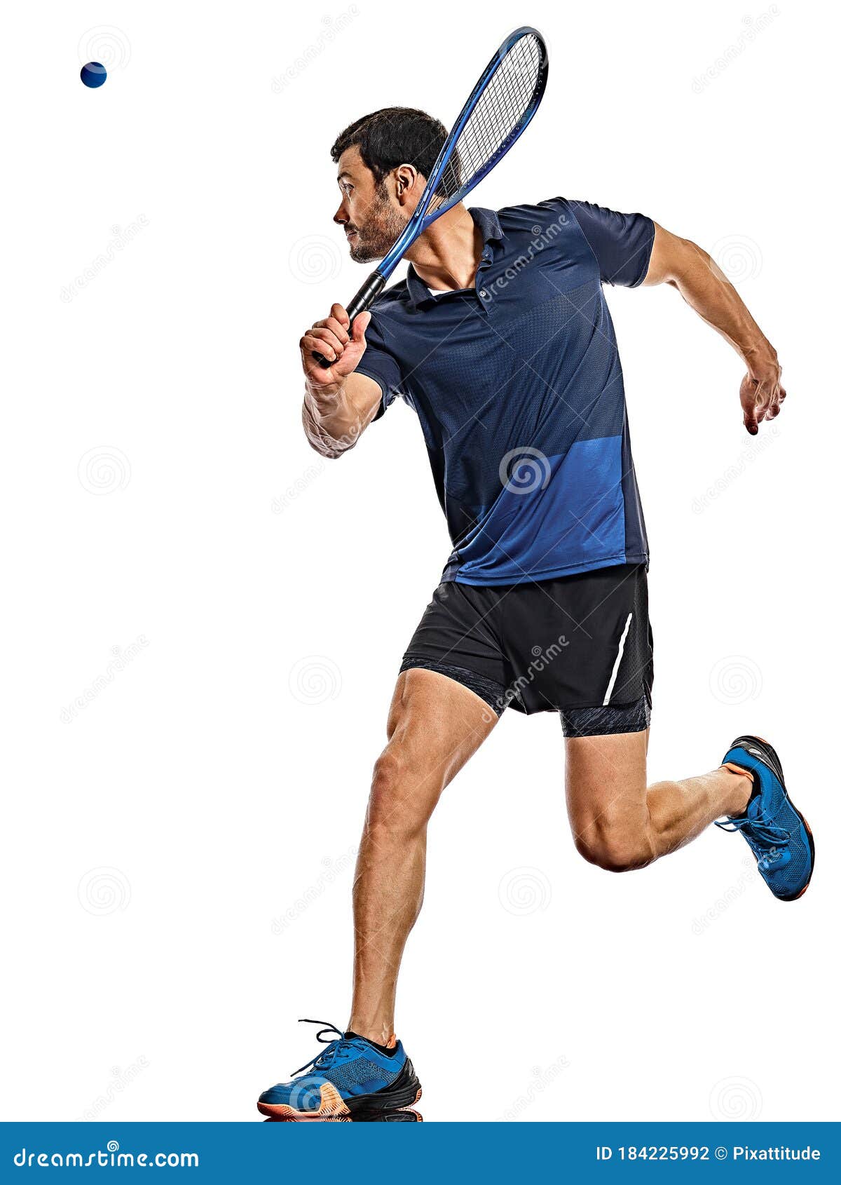 Squash Player Man Isolated White Background Stock Photo Image of