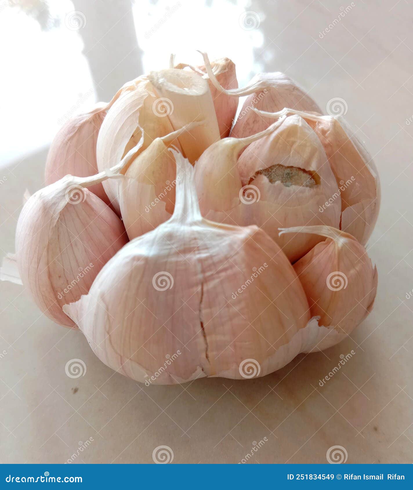 One clove of fresh garlic stock image. Image of garlic 251834549