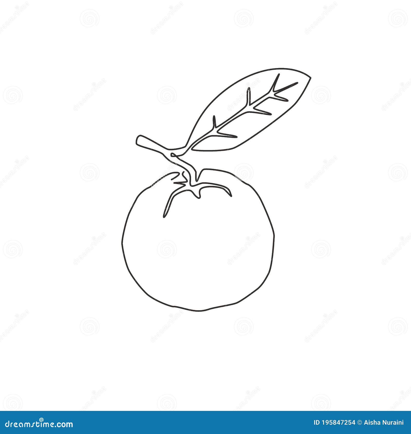Featured image of post Guava Drawing A bimap or bidirectional map