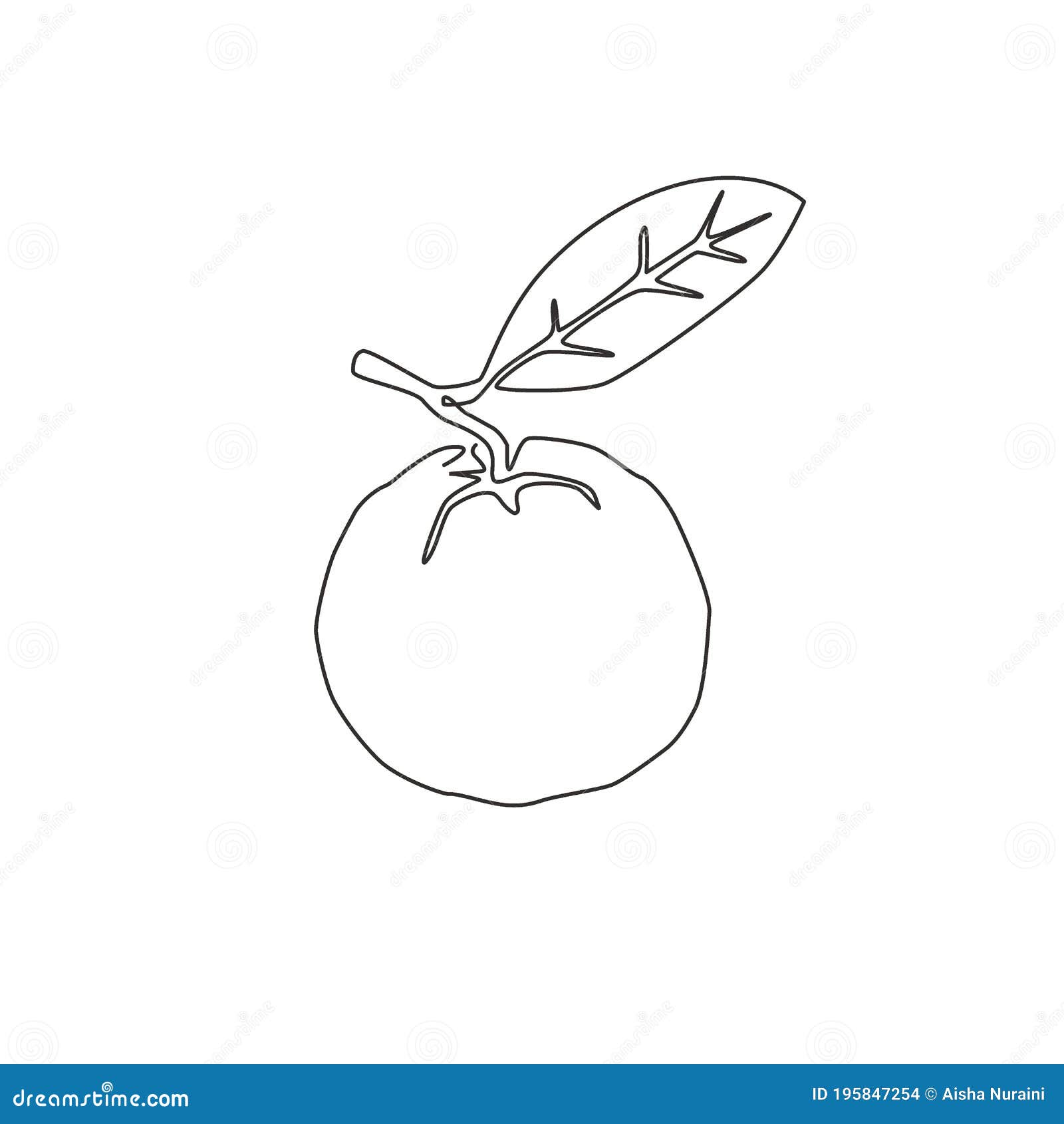 Featured image of post How To Draw Guava Learning to draw well takes practice