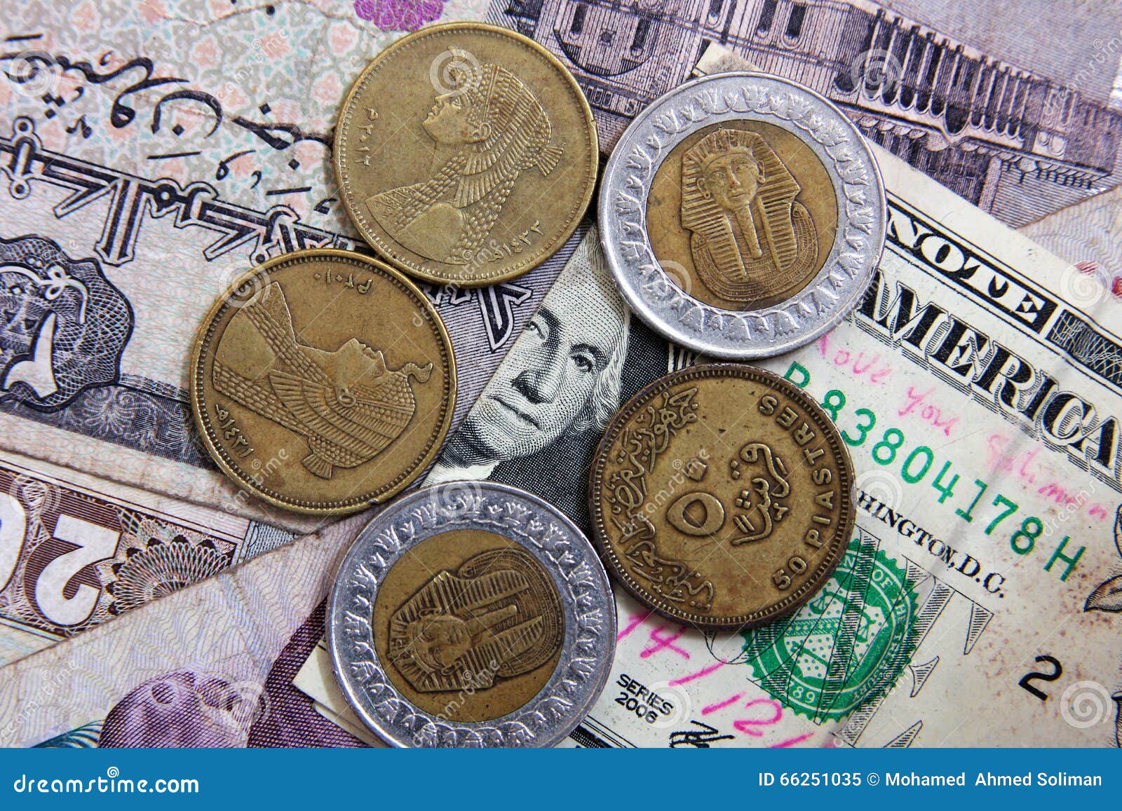 One Dollar with Egyptian Money Stock Image Image of bill, money 66251035