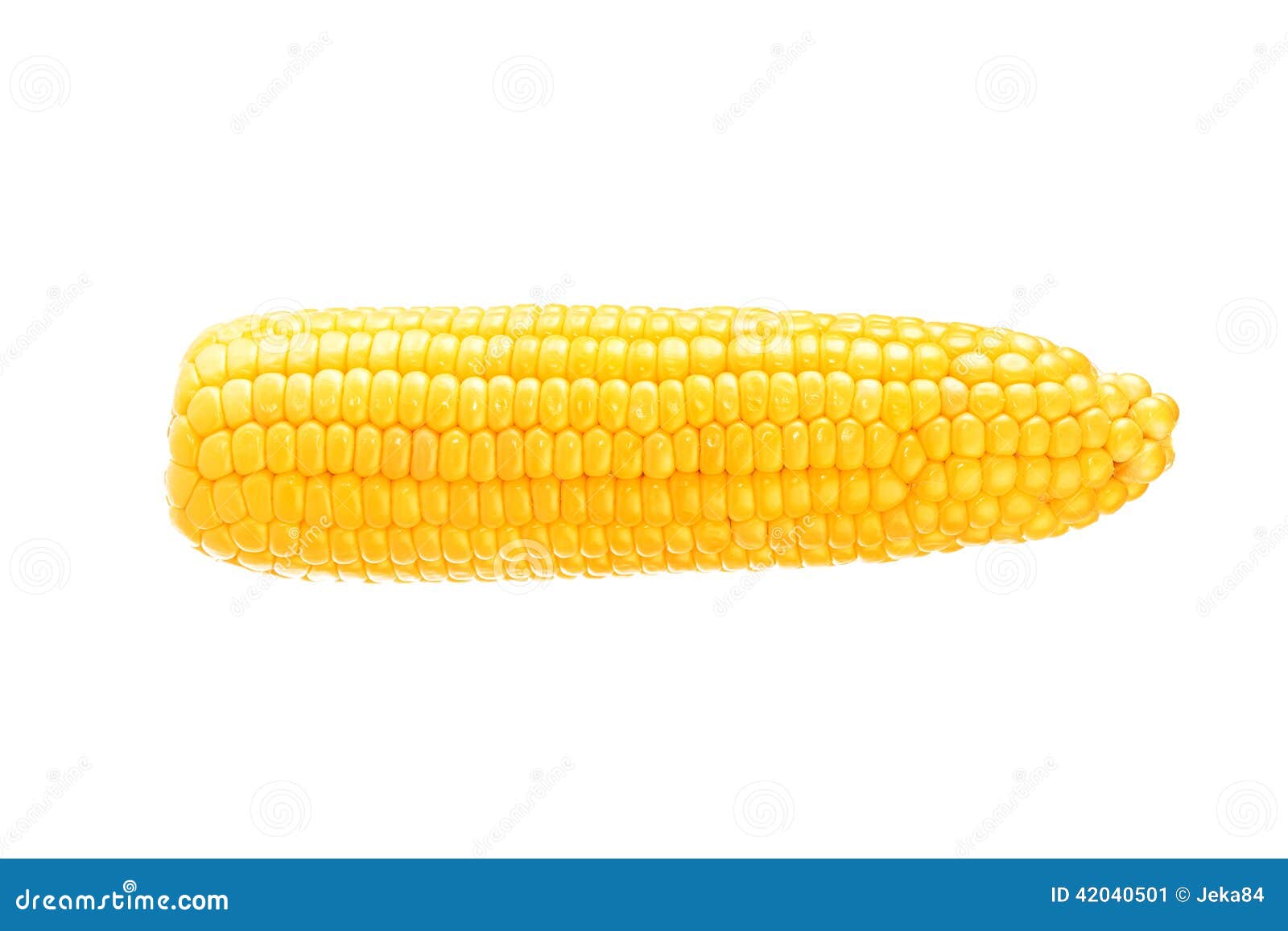 One on ear of corn stock image. Image of harvest, macro 42040501