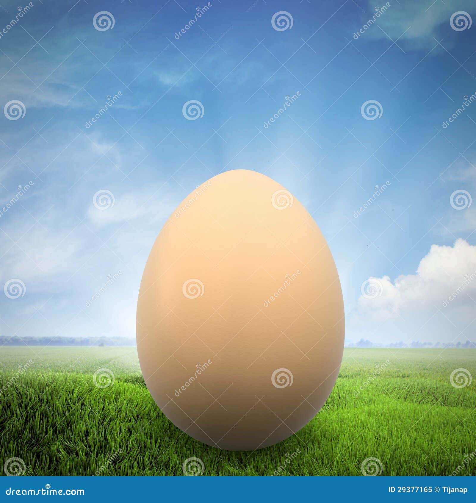 One egg on a green field stock illustration. Illustration of rays