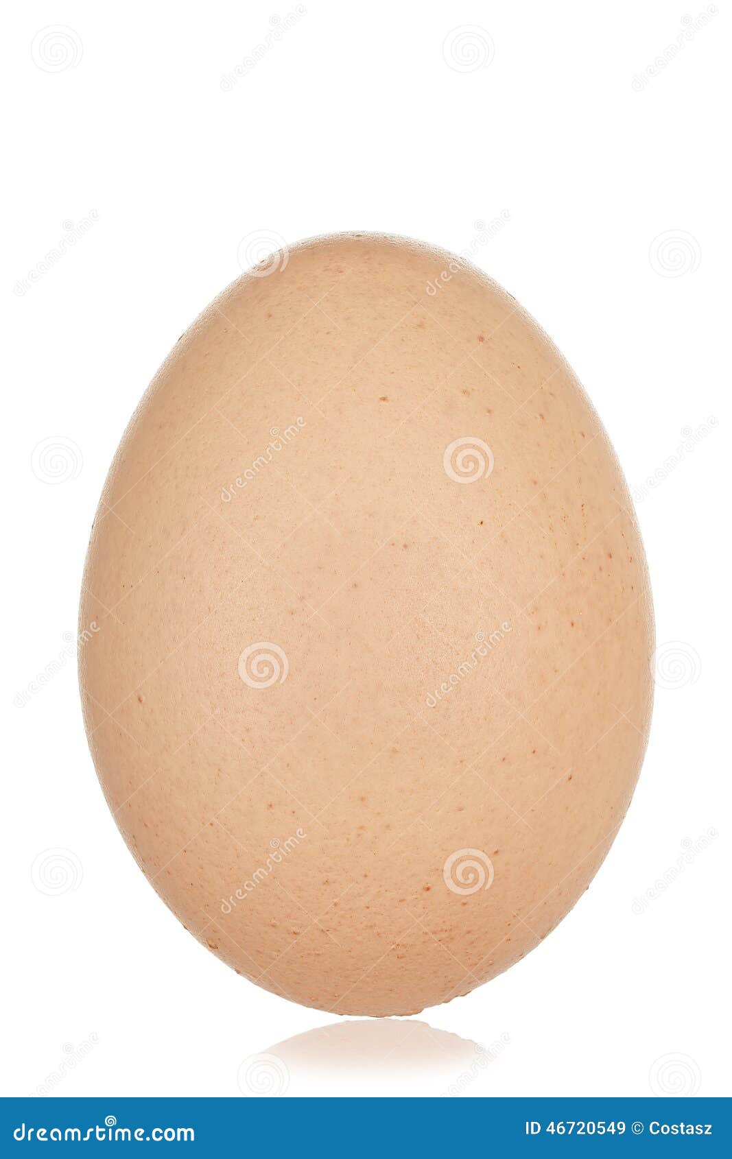 One Egg Stock Image Image Of Healthy Isolated Nutritious 46720549 one-egg-stock-image-image-of-healthy-isolated-nutritious-46720549