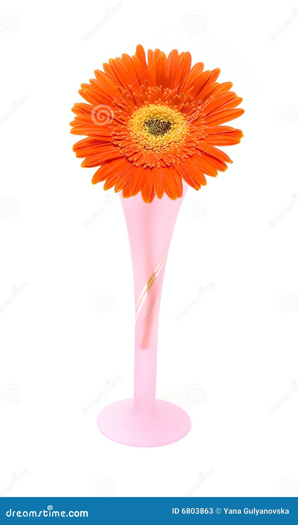 One flower in vase stock image. Image of autumn, botany 6803863
