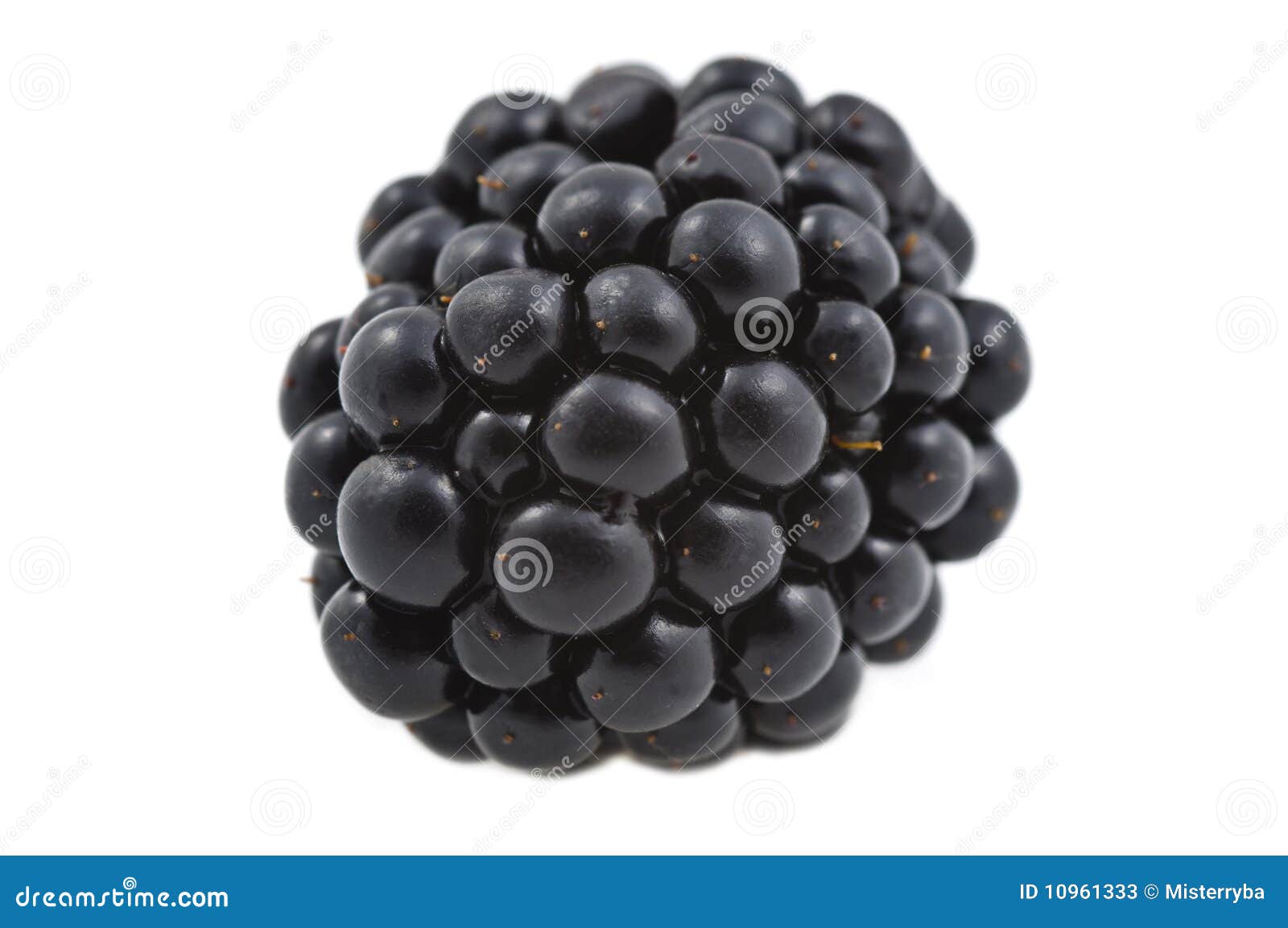 One Fresh Blackberry stock image. Image of food, health - 10961333
