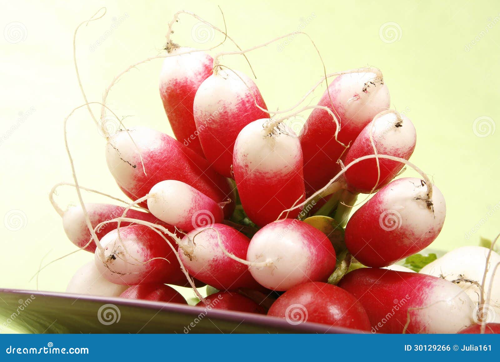Radish stock photo. Image of fresh, case, diet, bitter 30129266