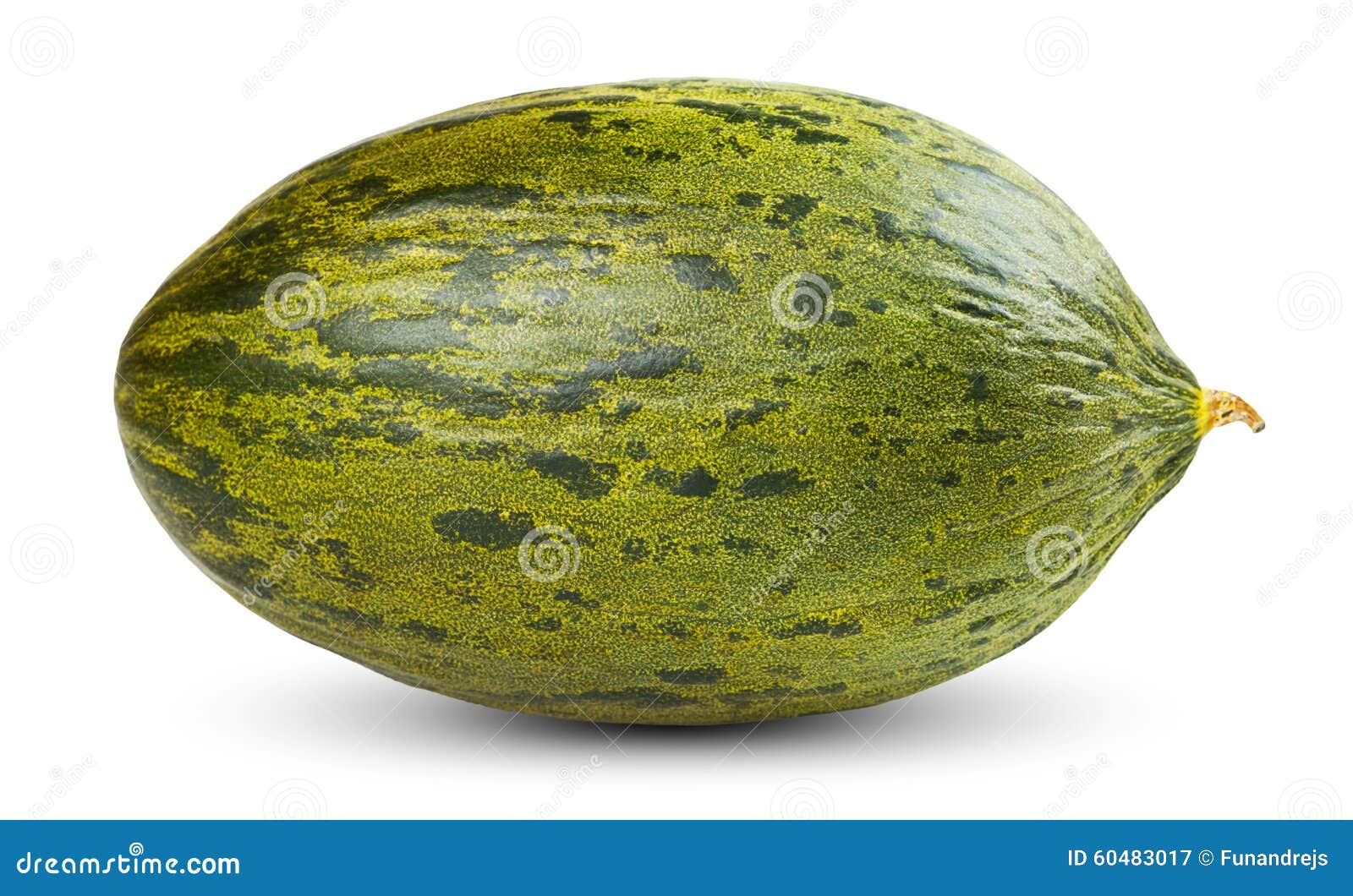 One Fresh Whole Piel De Sapo Melon On White Stock Image Image of food