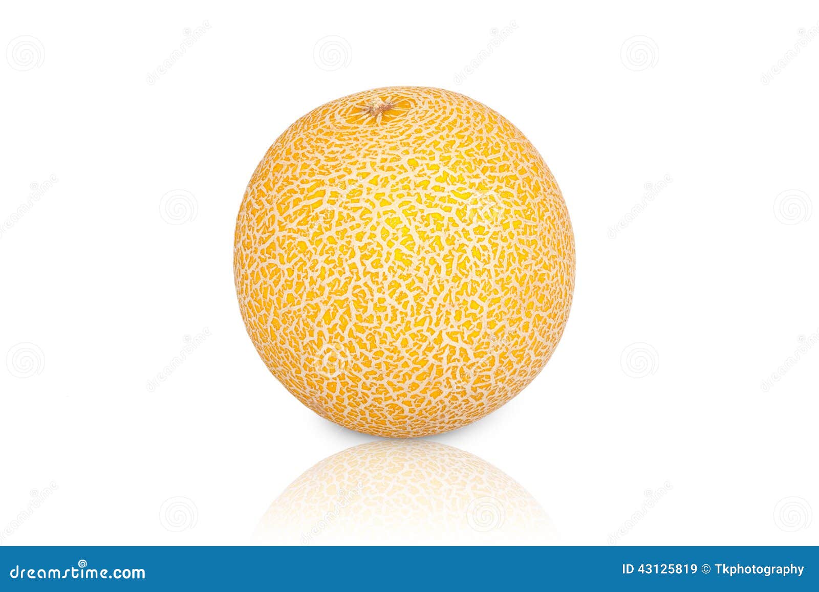 One Galia Melon stock image. Image of galia, reflect 43125819
