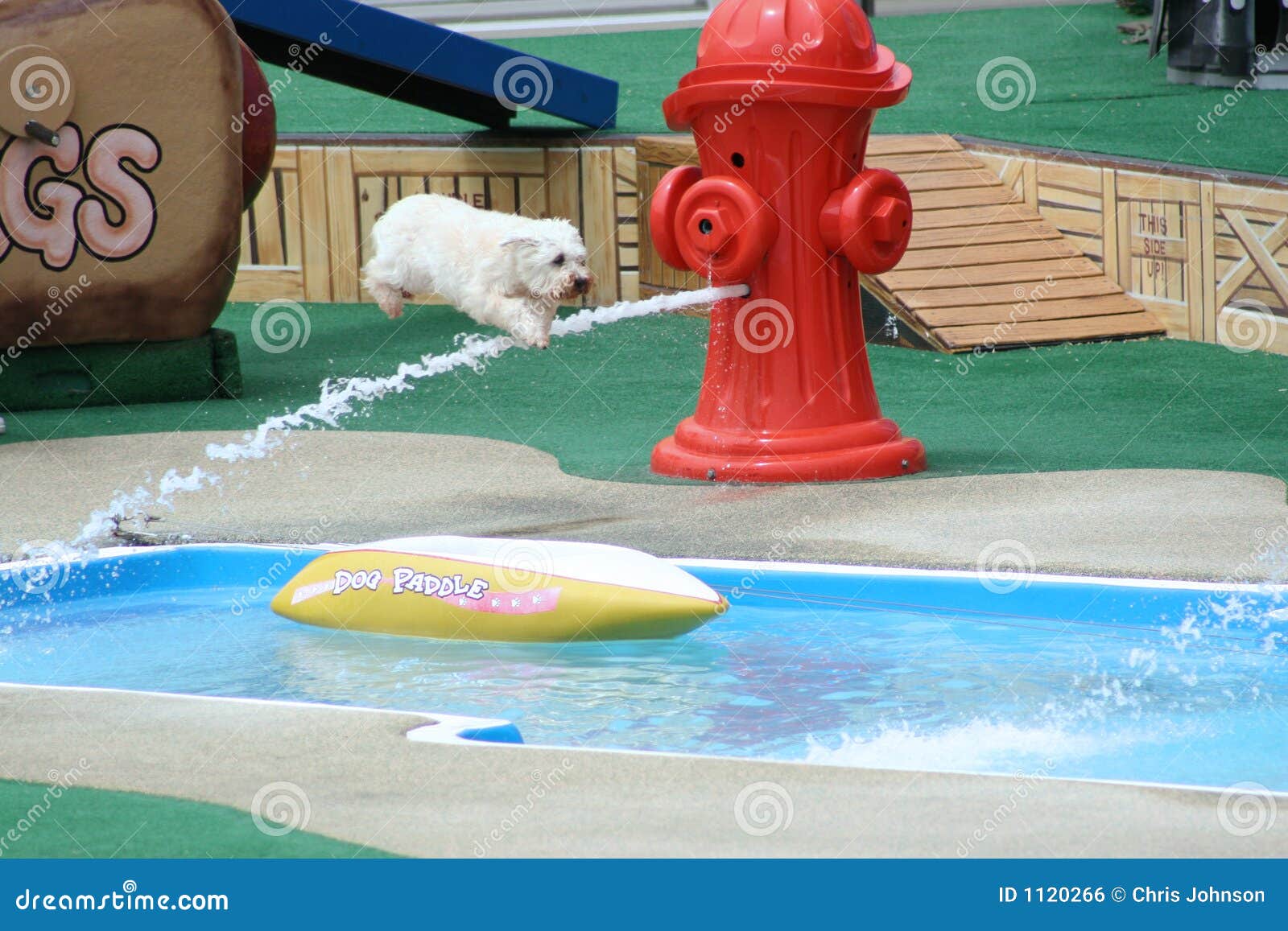 One Giant Leap stock photo. Image of entertainers, leaping 1120266