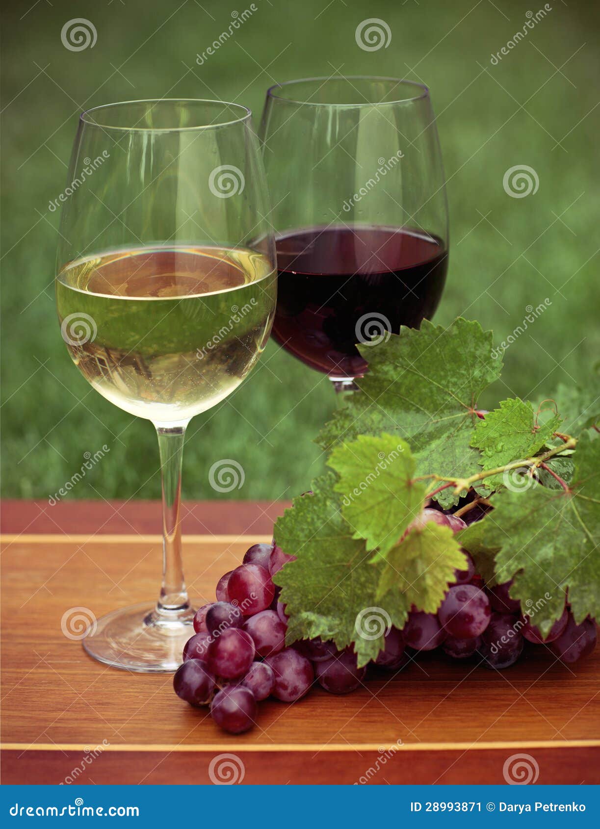 One Glass of White Wine and Red Wine Stock Image Image of nature, grape 28993871