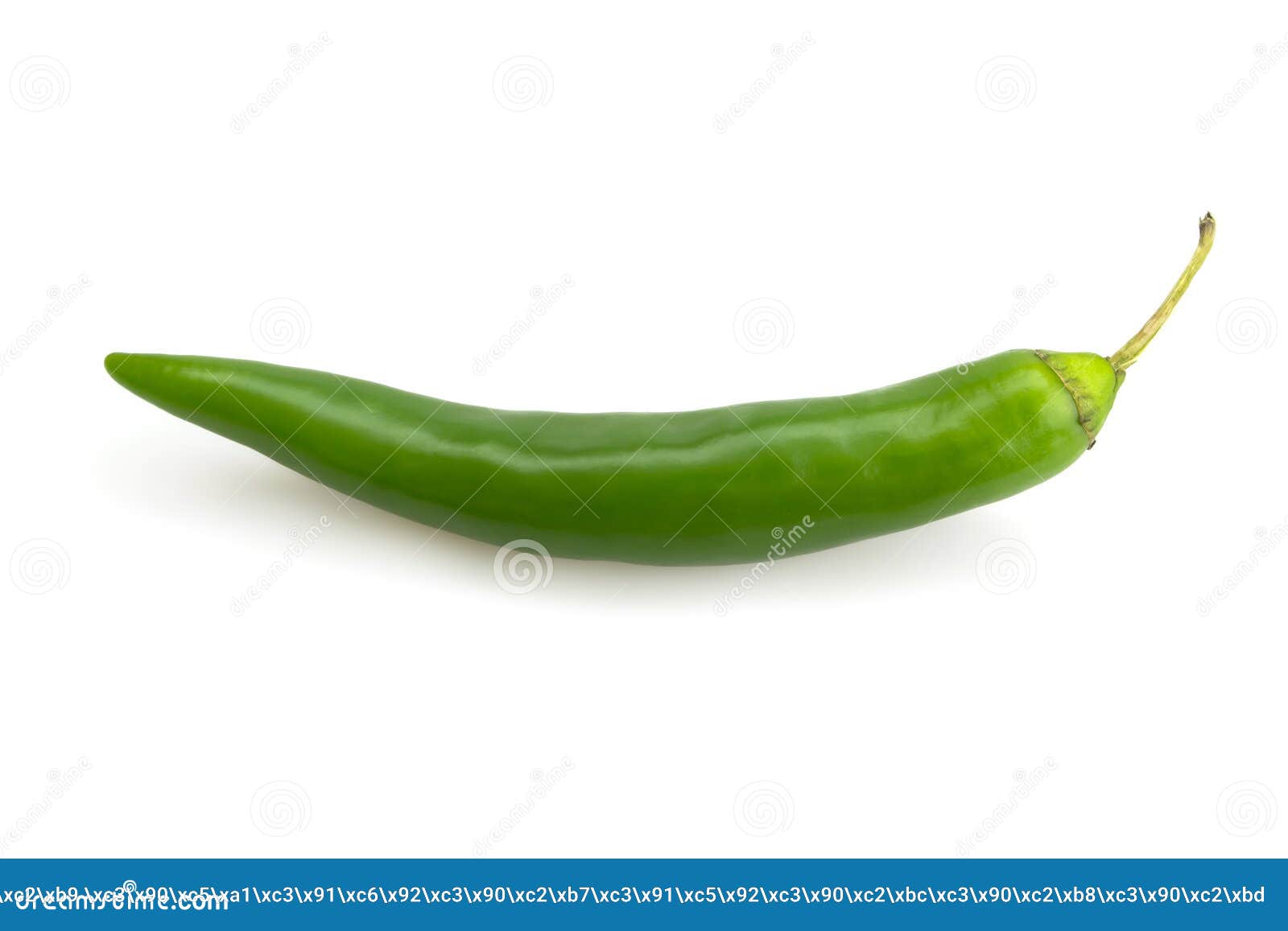 One green chili stock image. Image of length, side, fruits 51894793